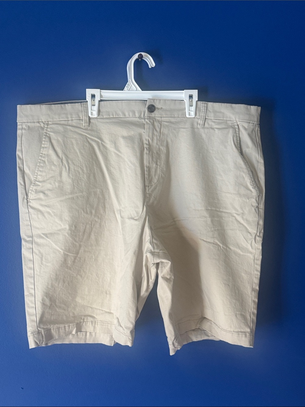 GAP Men's Light Beige Flat-Front Cotton Shorts